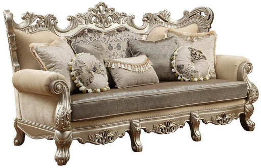 Acme Furniture Ranita Sofa in Champagne 51040 image