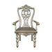 Homelegance Catalonia Arm Chair in Platinum Gold (Set of 2) image